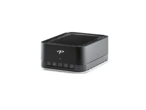 Paradigm PW AMP