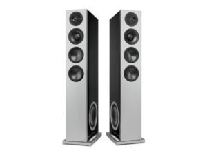 Definitive Technology D15