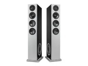 Definitive Technology D15