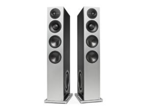 Definitive Technology D17