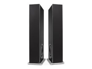 Definitive Technology D17